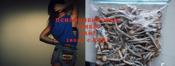 PSILOCYBIN Баксан